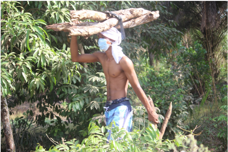 A forestry worker, wearing a face mask for protection against coronavirus, gathers fallen wood from a tropical area, in Guinée, Africa.